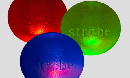 Strobe Dog Toy