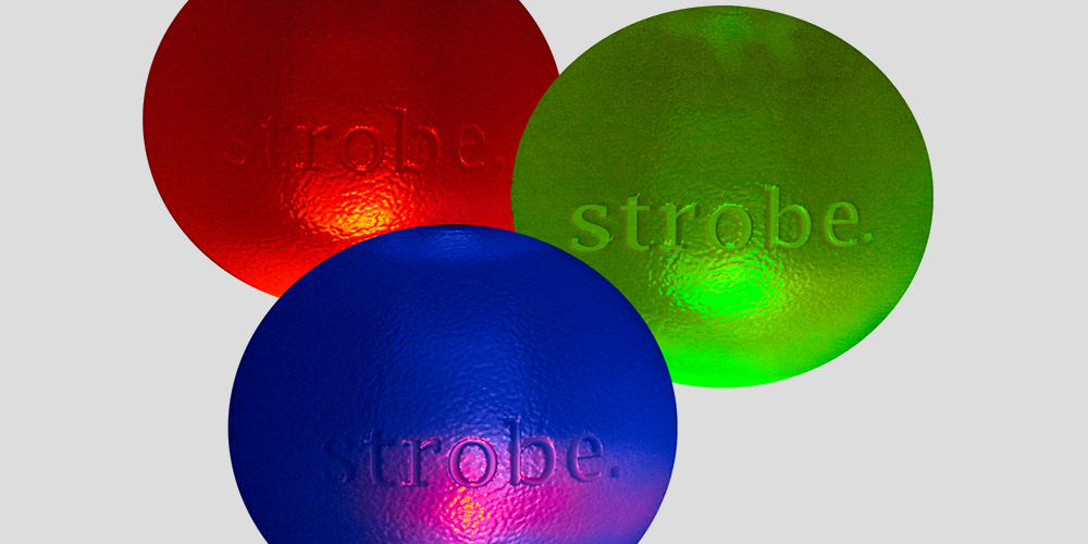 Strobe Dog Toy